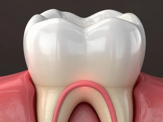 Proč bolí zub? Vysvětlení nervů v zubech a endodontické ošetření